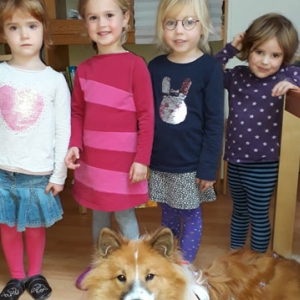 Kindergartenhund-Friseur-05.jpg